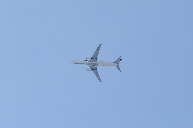 飛行機
