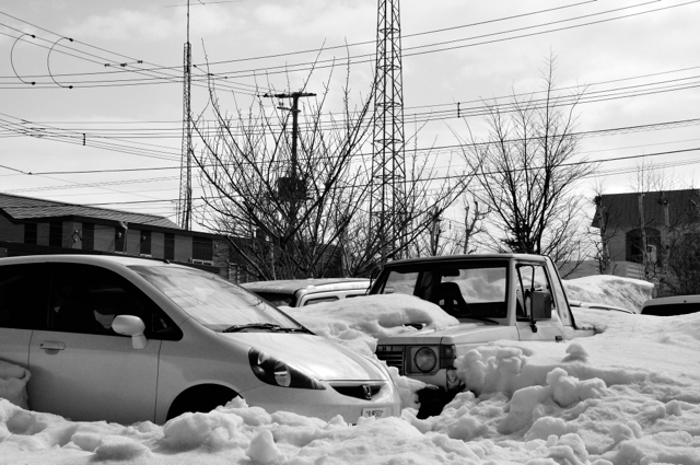 雪に埋もれて