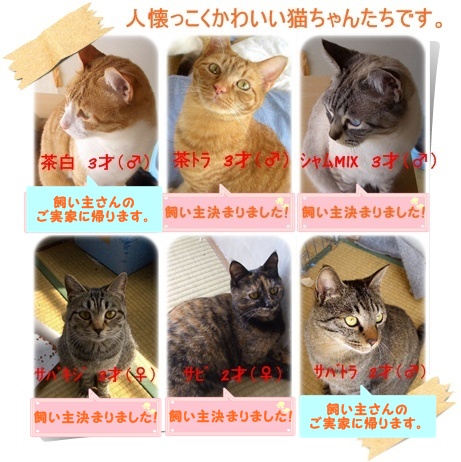 3-24熊本