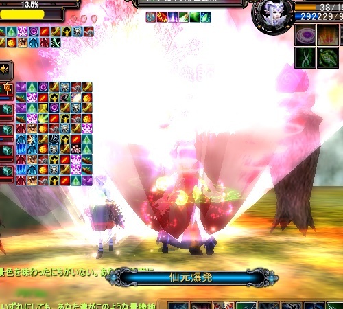 pp3334.jpg