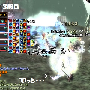 pp3337.jpg
