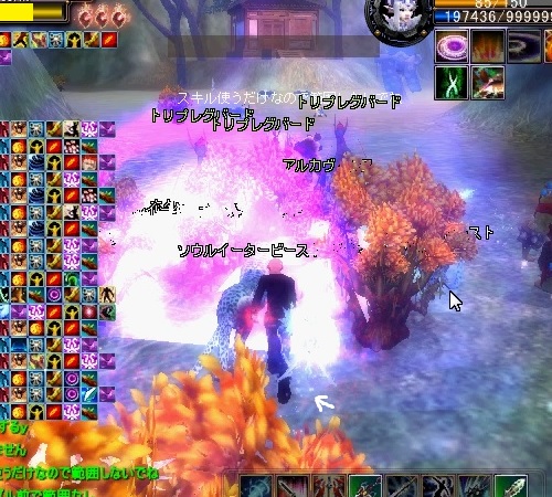 pp3910.jpg