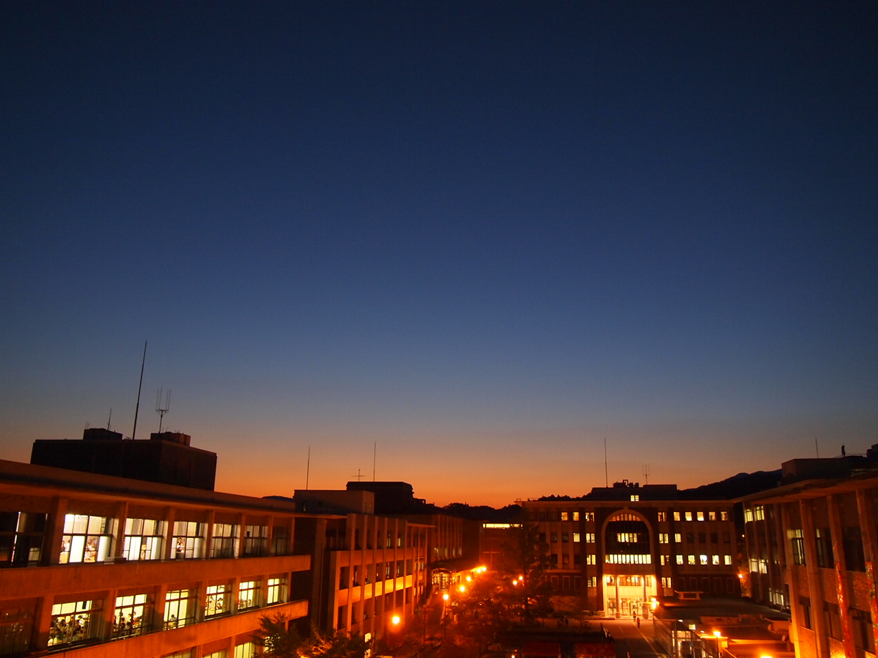 PA251652.jpg
