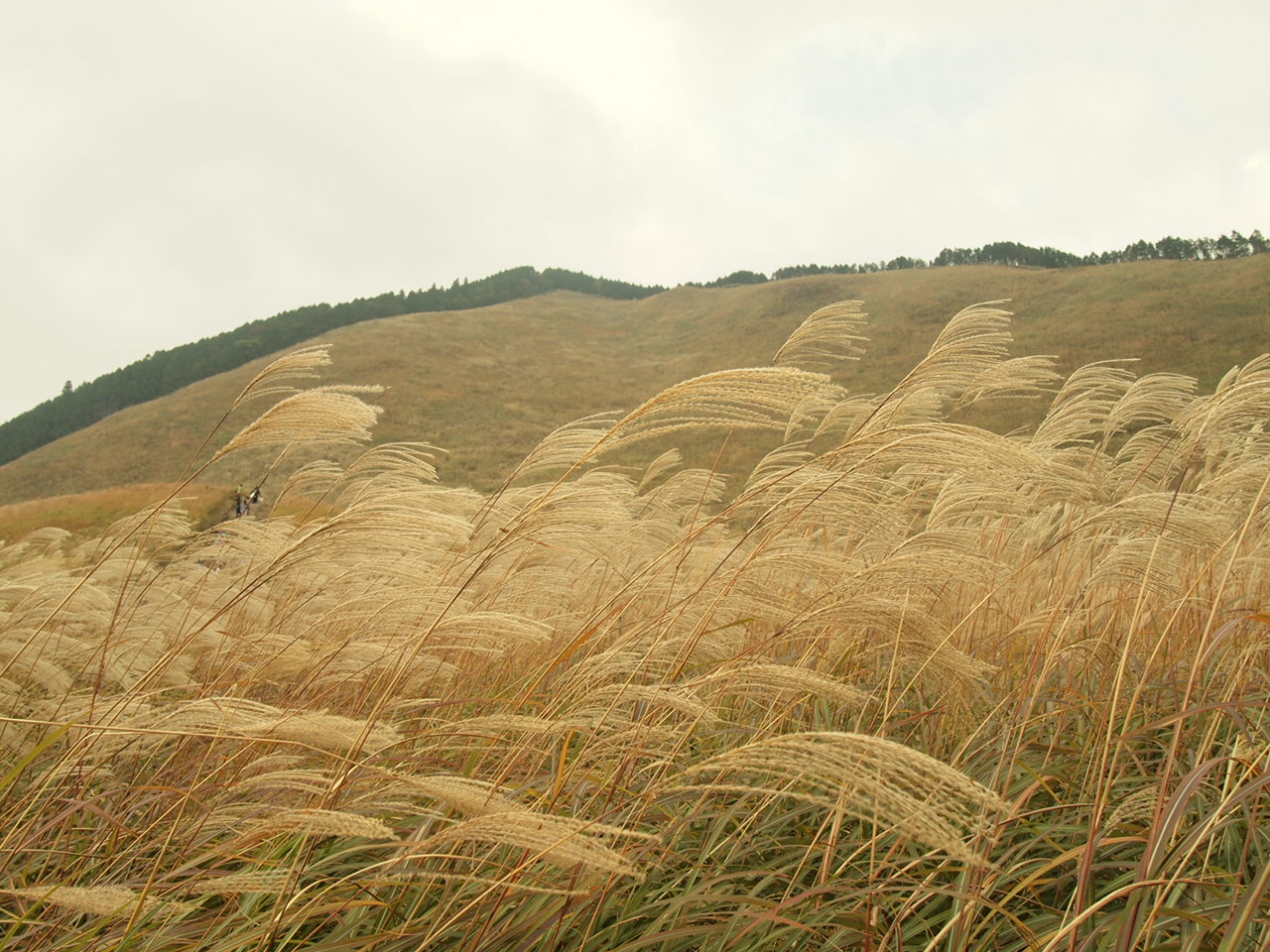 PA271789.jpg
