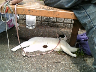 070426_124825_M.jpg