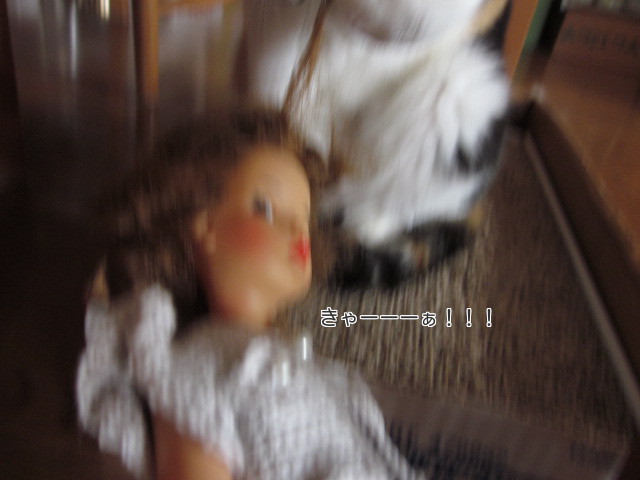 GoJGBH50iJaPlp71365835022_1365835154.jpg