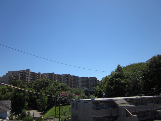 IMG_2894.jpg