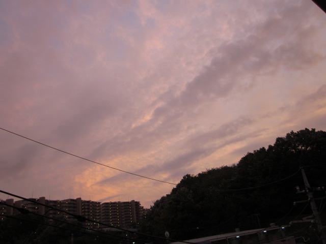 IMG_3263.jpg
