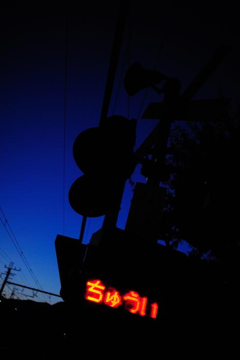 DSC_1111_00002057_convert_20121021234419.jpg