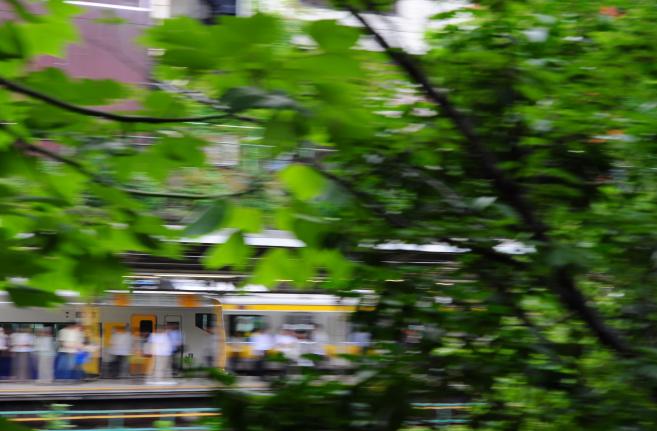 DSC_3950_convert_20120623190700.jpg