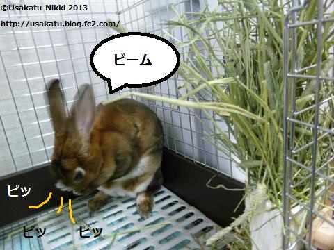 P1070476_convert2