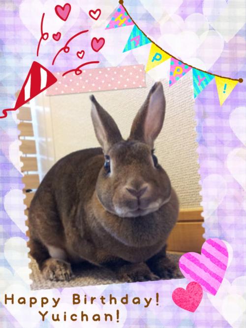 Happy+Birthday 結ちゃん_convert_20140211012028