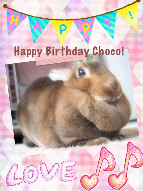 Happy+Birthday+Choco3convert.jpg