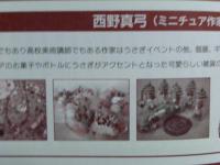 P1060895_convert.jpg