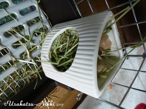 P1070278_convert.jpg
