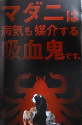 P1070290_convert.jpg