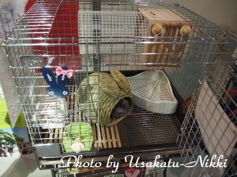 P4140399_convert.jpg