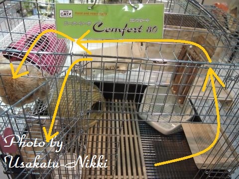 P4140401_convert.jpg