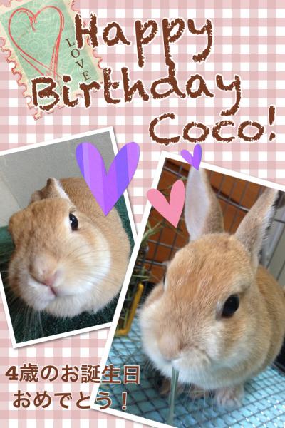 coco+happyBirthday_convert.jpg