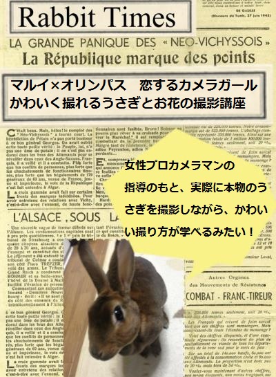 papelook84_convert.jpg