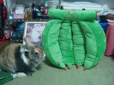 うり 1417