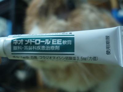 うり 1549