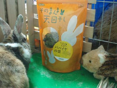 うり 1586