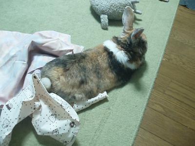 うり 1619