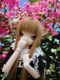 風子★夏②