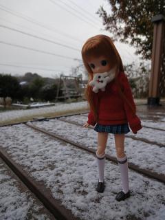 小豆★初雪