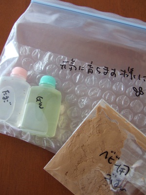 メダカの卵_頂き物