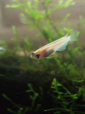 2012_convert_161.jpg