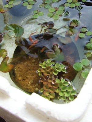 2012_convert_165.jpg