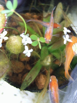 2012_convert_166.jpg