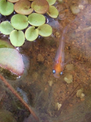 2012_convert_167.jpg