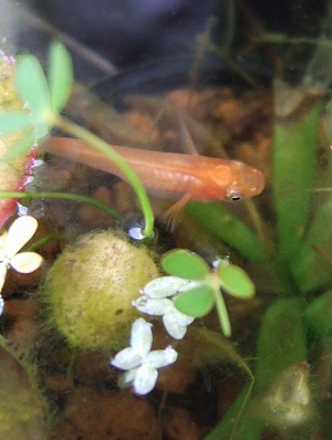 2012_convert_170.jpg