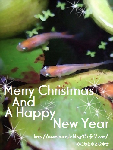 2012xmas&2013new year