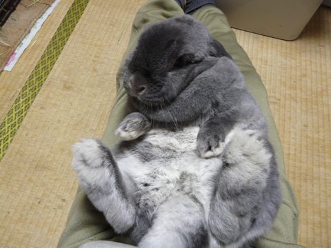 聖良