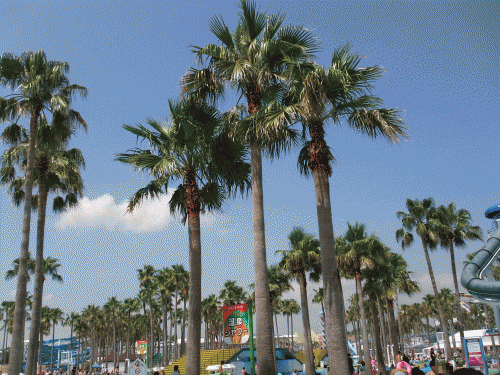 nagashima2012.gif