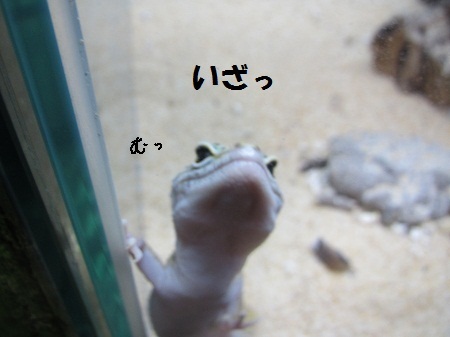 IMG_0110 (3)