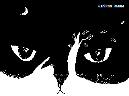 夜