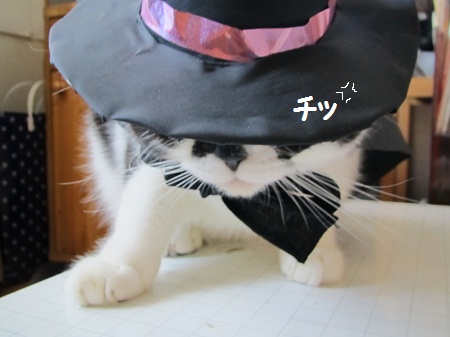 ハロウィン6