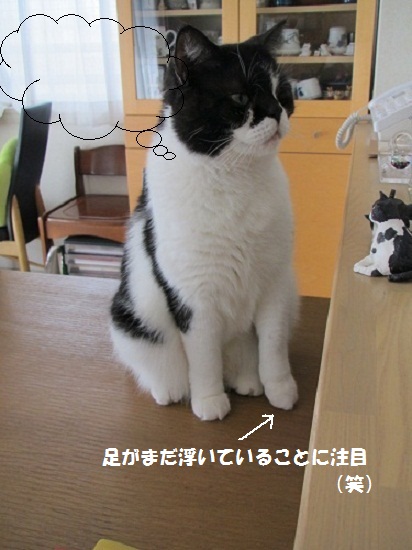 プレゼント企画2