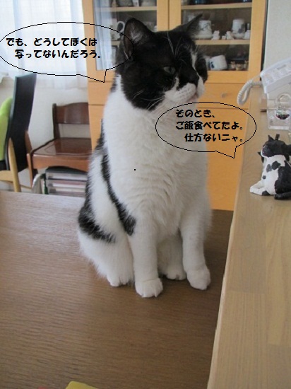ラワさん2