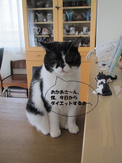 おばんですさん3