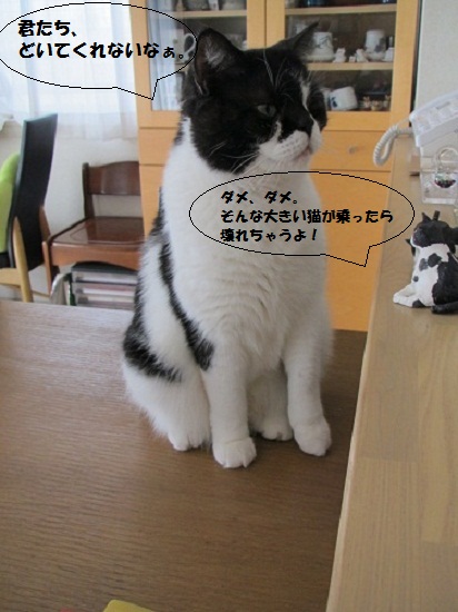おばんですさん2