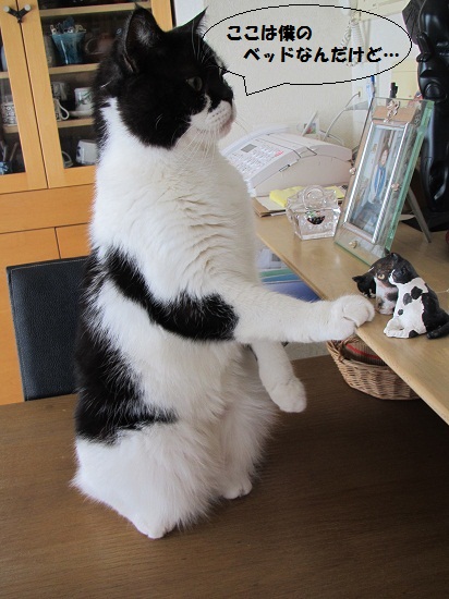おばんですさん1