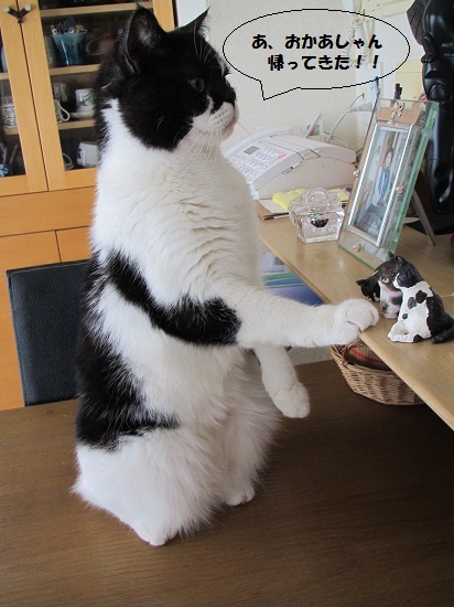 ちひろ1
