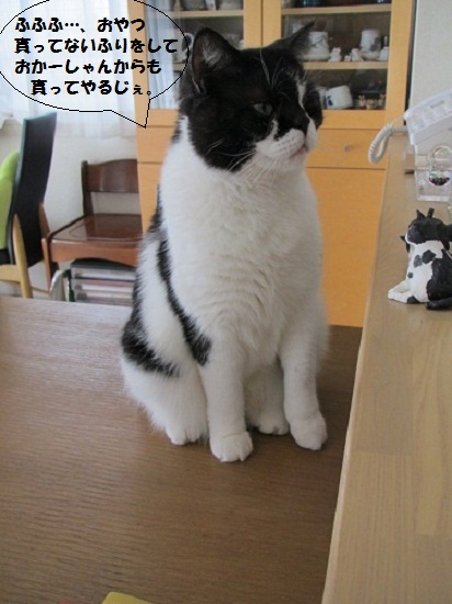 ちひろ2