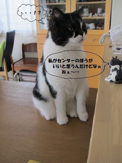 もうこま4